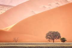 Solitude in the Desert