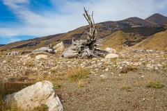 Desolate Patagonia