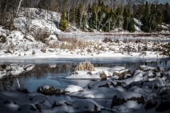 Shades of Winter Marigold Lake Wetlands