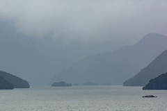 Fjordland Mist