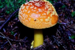 Colourful Warning