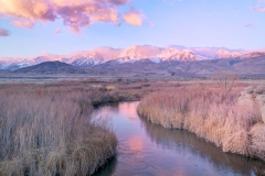 Pink Stream
