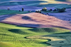 View from Steptoe Butte