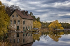 Mill Pond