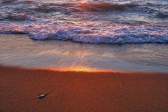 Erie Shores