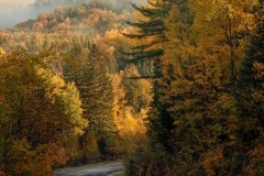 The Long and Winding Road