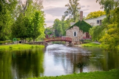 Tranquility in the Park