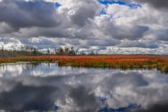 Nonquon Pond