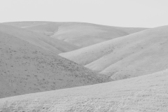 Judaean Desert