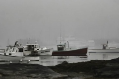 Foggy Harbour Maine