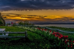Viewpoint