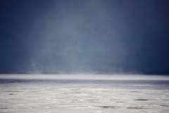 Snow Billow