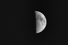 The Moon