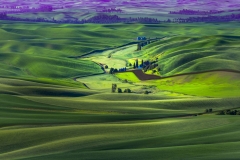 Hues of Indigo arise in Palouse