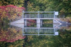 Dam Reflection