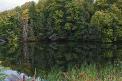Early Autumn