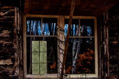 Cabin in the Woods