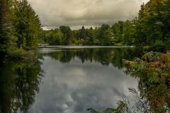 View Down the Lake