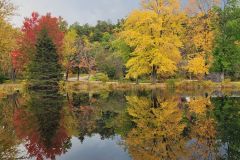 Autumn Reflections
