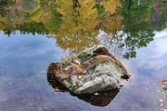 Upside Down World
