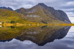 Lofoten Reflection