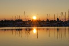 Masts Up and Down
