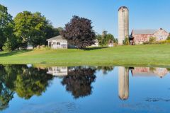 Ponds Reflections