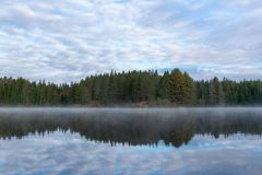 Early Sun on Pog Lake