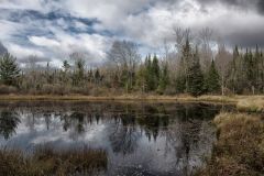 Snowden Wetlands in Fall