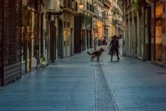 Evening in Granada