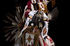 Powwow Dancer