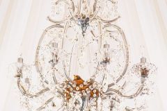 Cozy Chandelier