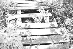 Washed Out Walkway
