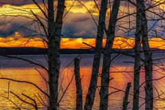 Colourful Evening