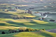 Palouse