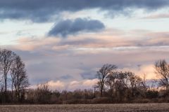 Autumn Sky