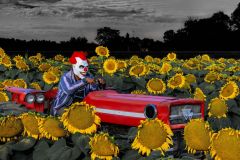 Freaky Farmer