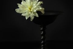 Elegance