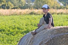 Farmboy