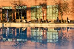 Winter Reflections