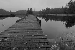 Solitude