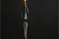 Simplicity of Light