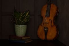If This Old Fiddle Could Talk