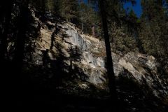 Shady Mountain Side