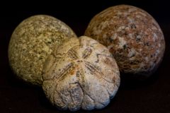 Rocks