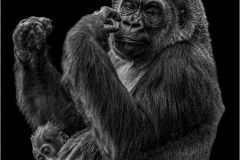 Gorilla & Infant