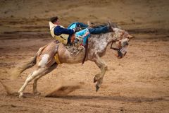Bronco