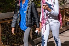 Strolling Along Together