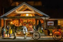 Horse Drawn Carriage at Christmas