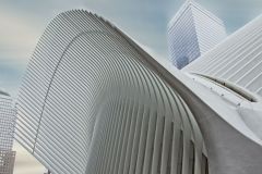 The Oculus